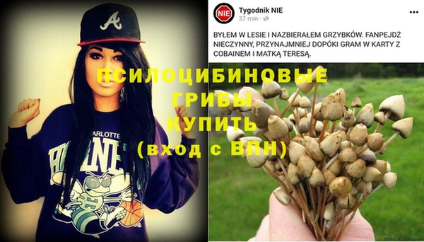 ГАЛЛЮЦИНОГЕННЫЕ ГРИБЫ Нефтегорск