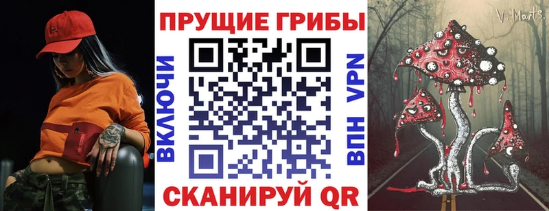 маркетплейс телеграм  omg зеркало  Москва  купить закладку  Галлюциногенные грибы MAGIC MUSHROOMS 