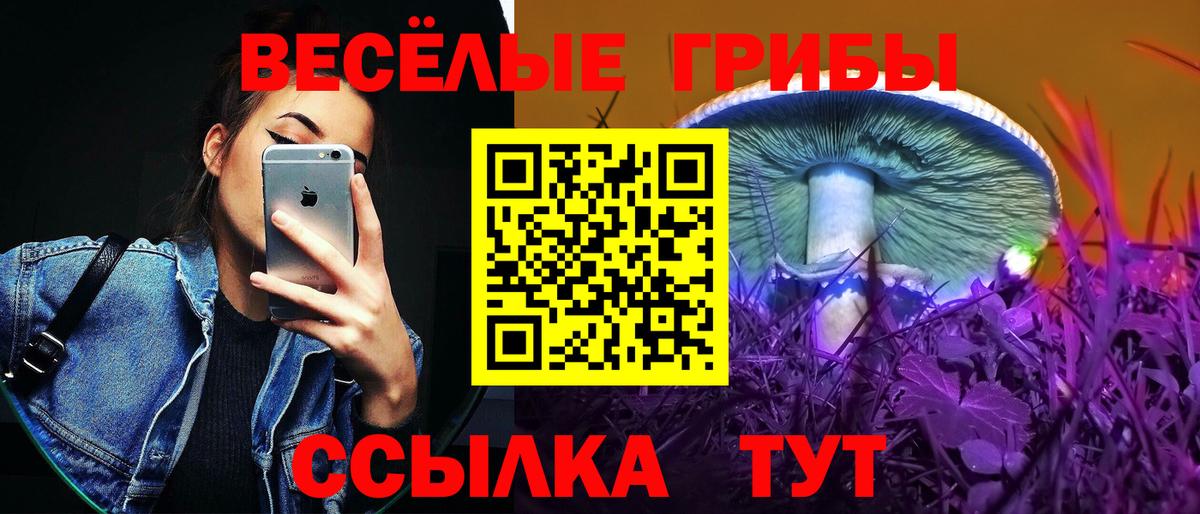Москва  Галлюциногенные грибы мицелий  как найти закладки  Вход с VPN 